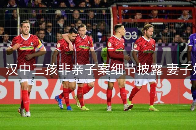 汉中三孩非亲子案细节披露 妻子婚外情记录惊人